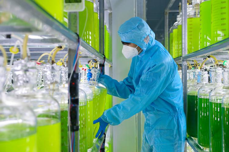 工作人员正在维护室外横管式光生物反应器