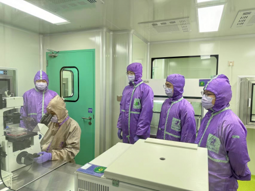 圣释生物:探索生命奥秘,引领干细胞技术新纪元